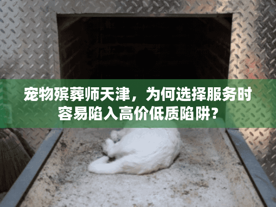 宠物殡葬师天津，为何选择服务时容易陷入高价低质陷阱？