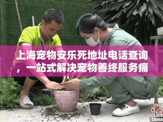 上海宠物安乐死地址电话查询，一站式解决宠物善终服务痛点