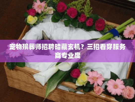 宠物殡葬师招聘暗藏玄机？三招看穿服务商专业度