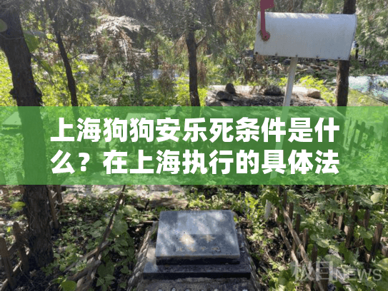 上海狗狗安乐死条件是什么？在上海执行的具体法规有哪些要求？