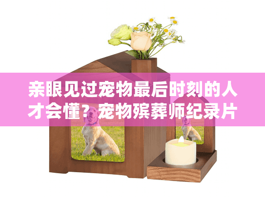 亲眼见过宠物最后时刻的人才会懂？宠物殡葬师纪录片揭开的告别真相