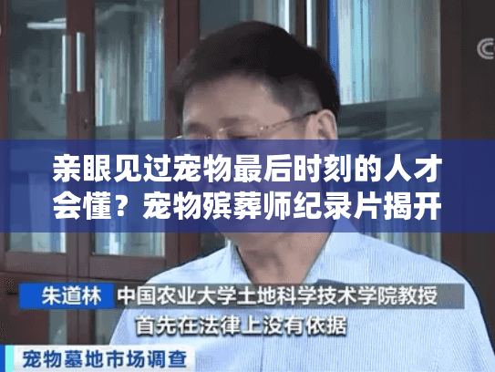 亲眼见过宠物最后时刻的人才会懂？宠物殡葬师纪录片揭开的告别真相