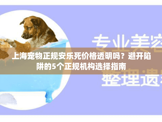 上海宠物正规安乐死价格透明吗？避开陷阱的5个正规机构选择指南