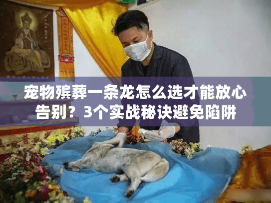宠物殡葬一条龙怎么选才能放心告别？3个实战秘诀避免陷阱