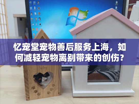 忆宠堂宠物善后服务上海，如何减轻宠物离别带来的创伤？