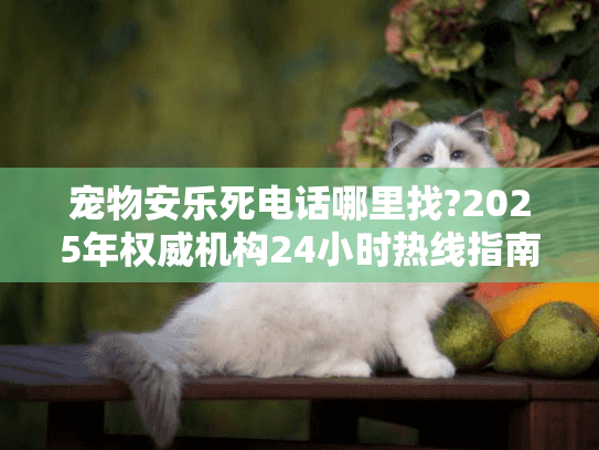 宠物安乐死电话哪里找?2025年权威机构24小时热线指南