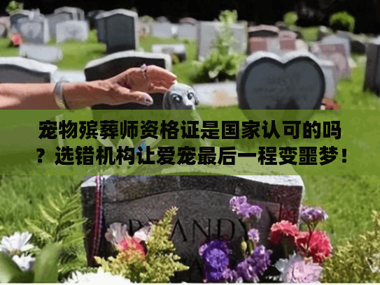 宠物殡葬师资格证是国家认可的吗?选错机构让爱宠最后一程变噩梦! 宠物殡葬师资格证是国家认可的吗?选错机构让爱宠最后一程变噩梦!