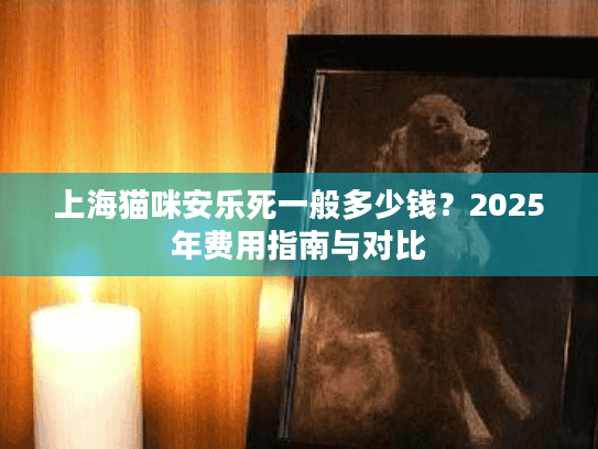 上海猫咪安乐死一般多少钱？2025年费用指南与对比
