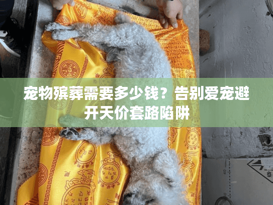 宠物殡葬需要多少钱？告别爱宠避开天价套路陷阱