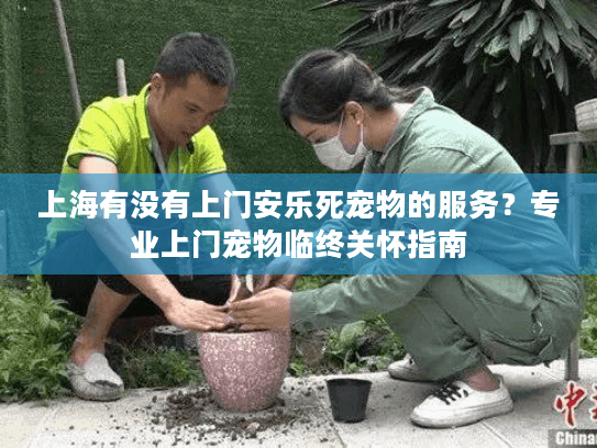 上海有没有上门安乐死宠物的服务？专业上门宠物临终关怀指南
