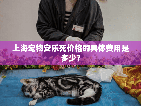 上海宠物安乐死价格的具体费用是多少？