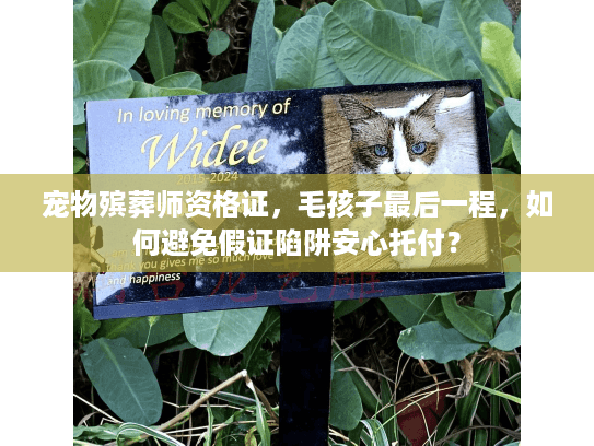 宠物殡葬师资格证，毛孩子最后一程，如何避免假证陷阱安心托付？