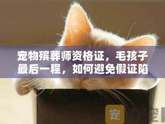 宠物殡葬师资格证，毛孩子最后一程，如何避免假证陷阱安心托付？