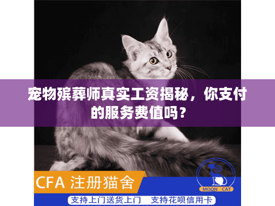 宠物殡葬师真实工资揭秘，你支付的服务费值吗？