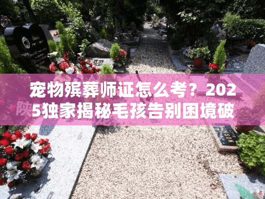 宠物殡葬师证怎么考？2025独家揭秘毛孩告别困境破解法
