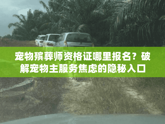 宠物殡葬师资格证哪里报名？破解宠物主服务焦虑的隐秘入口