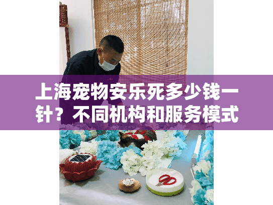 上海宠物安乐死多少钱一针？不同机构和服务模式差异大吗？