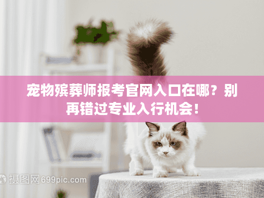 宠物殡葬师报考官网入口在哪?别再错过专业入行机会! 宠物殡葬师报考官网入口在哪?别再错过专业入行机会!