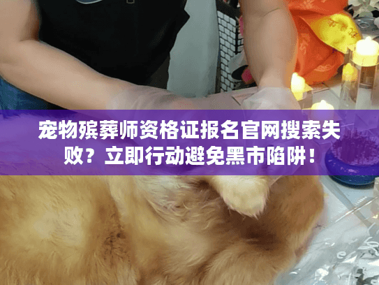 宠物殡葬师资格证报名官网搜索失败？立即行动避免黑市陷阱！