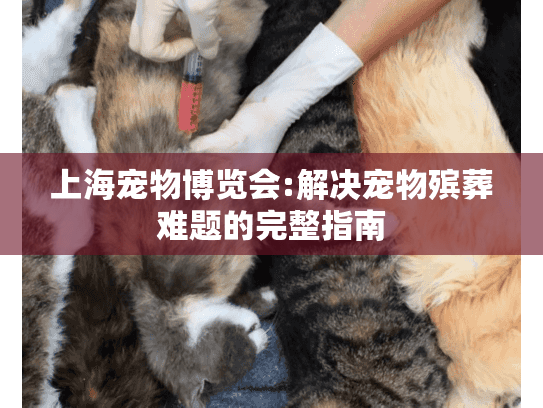 上海宠物博览会:解决宠物殡葬难题的完整指南