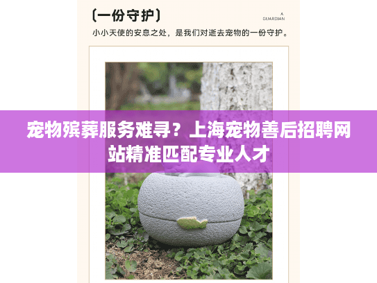 宠物殡葬服务难寻？上海宠物善后招聘网站精准匹配专业人才