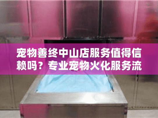 宠物善终中山店服务值得信赖吗？专业宠物火化服务流程与费用解析