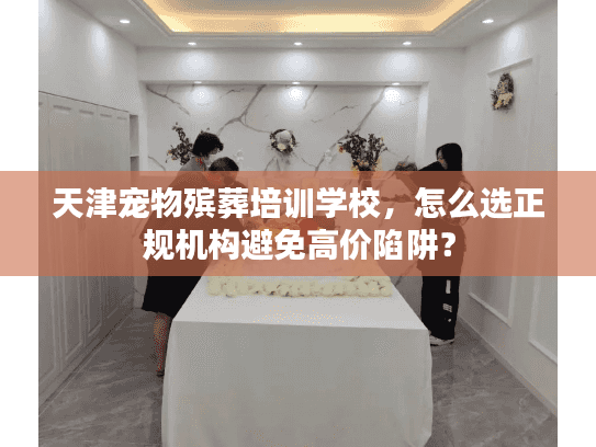 天津宠物殡葬培训学校,怎么选正规机构避免高价陷阱? 天津宠物殡葬培训学校,怎么选正规机构避免高价陷阱?