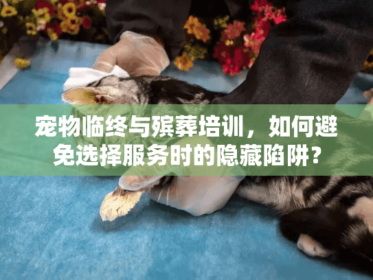 宠物临终与殡葬培训，如何避免选择服务时的隐藏陷阱？