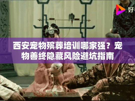 西安宠物殡葬培训哪家强？宠物善终隐藏风险避坑指南