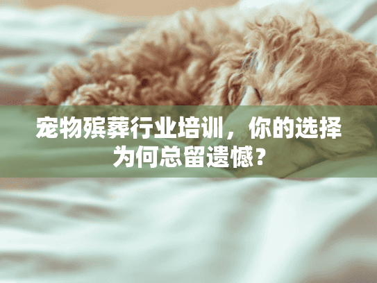 宠物殡葬行业培训,你的选择为何总留遗憾? 宠物殡葬行业培训,你的选择为何总留遗憾?
