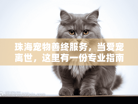 珠海宠物善终服务，当爱宠离世，这里有一份专业指南