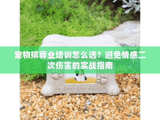 宠物殡葬业培训怎么选？避免情感二次伤害的实战指南
