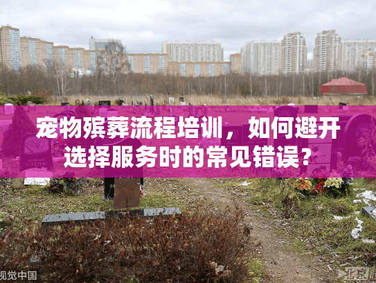 宠物殡葬流程培训，如何避开选择服务时的常见错误？