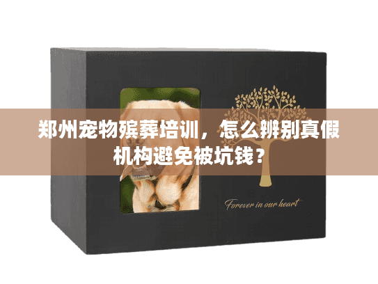 郑州宠物殡葬培训，怎么辨别真假机构避免被坑钱？