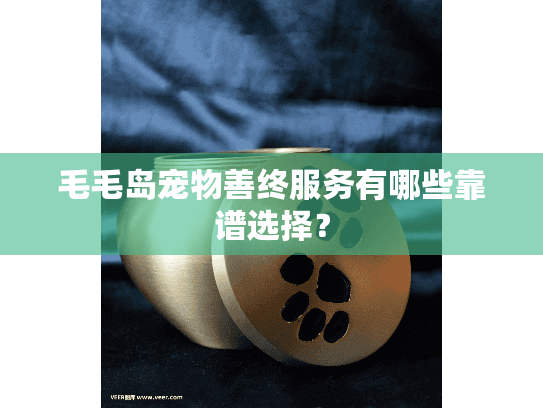 毛毛岛宠物善终服务有哪些靠谱选择？