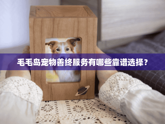 毛毛岛宠物善终服务有哪些靠谱选择？
