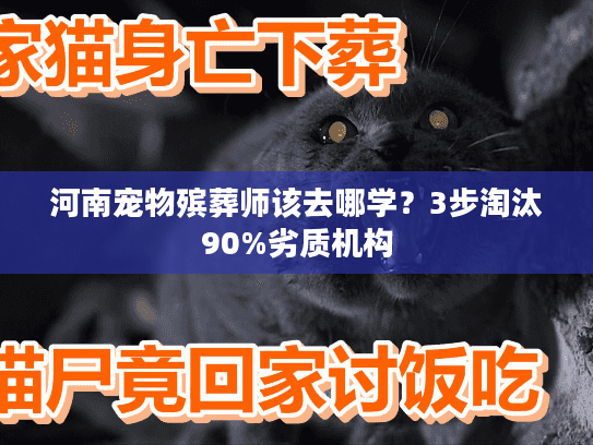 河南宠物殡葬师该去哪学?3步淘汰90%劣质机构 河南宠物殡葬师该去哪学?3步淘汰90%劣质机构