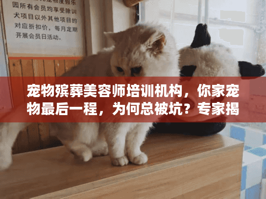 宠物殡葬美容师培训机构，你家宠物最后一程，为何总被坑？专家揭秘避坑术