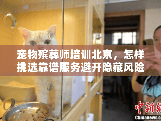 宠物殡葬师培训北京，怎样挑选靠谱服务避开隐藏风险？