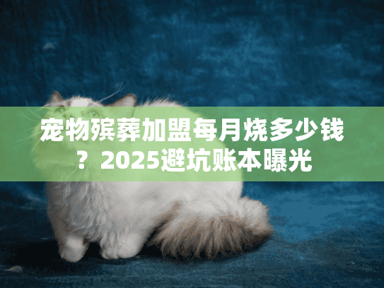 宠物殡葬加盟每月烧多少钱？2025避坑账本曝光
