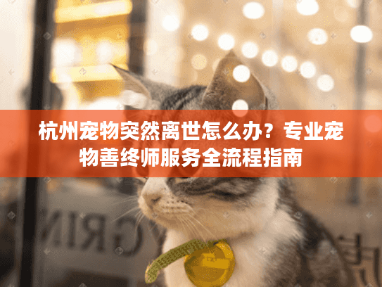 杭州宠物突然离世怎么办？专业宠物善终师服务全流程指南
