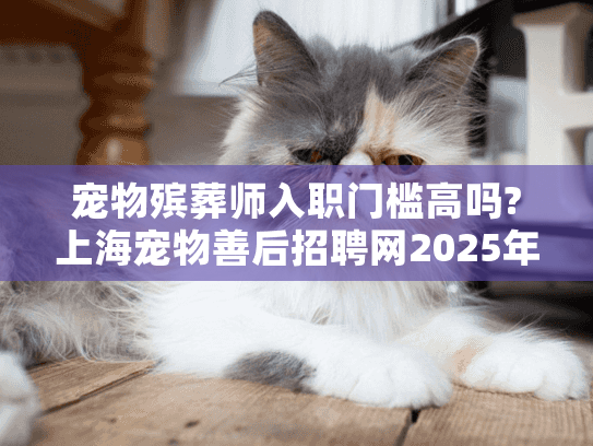 宠物殡葬师入职门槛高吗?上海宠物善后招聘网2025年岗位数据解析