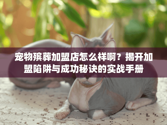 宠物殡葬加盟店怎么样啊？揭开加盟陷阱与成功秘诀的实战手册