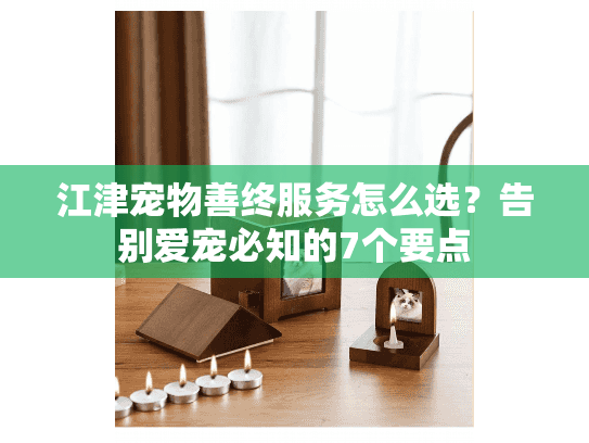 江津宠物善终服务怎么选？告别爱宠必知的7个要点