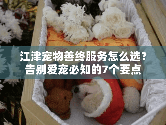 江津宠物善终服务怎么选？告别爱宠必知的7个要点