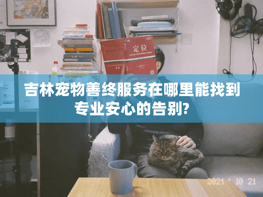 吉林宠物善终服务在哪里能找到专业安心的告别?