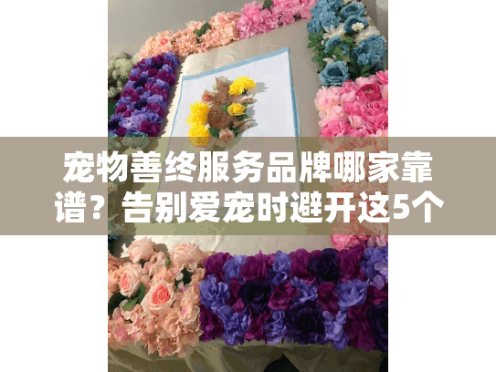 宠物善终服务品牌哪家靠谱？告别爱宠时避开这5个坑