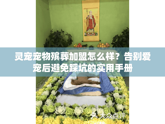 灵宠宠物殡葬加盟怎么样?告别爱宠后避免踩坑的实用手册 灵宠宠物殡葬加盟怎么样?告别爱宠后避免踩坑的实用手册