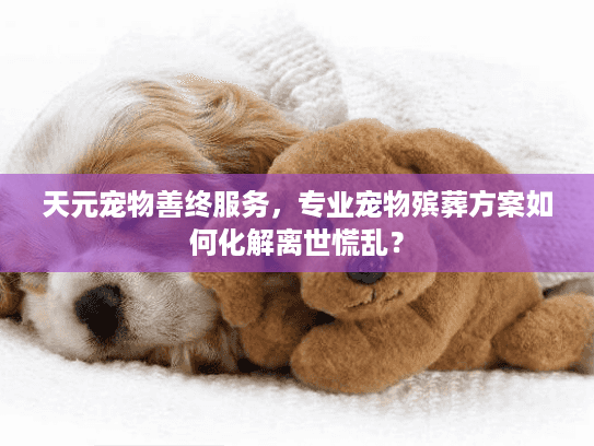 天元宠物善终服务，专业宠物殡葬方案如何化解离世慌乱？