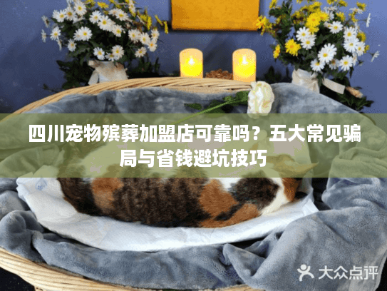 四川宠物殡葬加盟店可靠吗？五大常见骗局与省钱避坑技巧